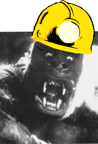 Kong pun