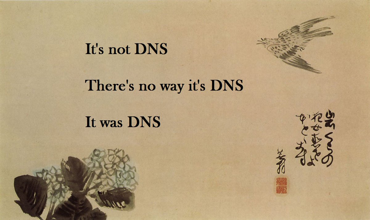 network DNS